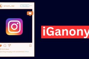 Top 27 IGANONY Alternatives: Best Instagram Story Viewer Tools